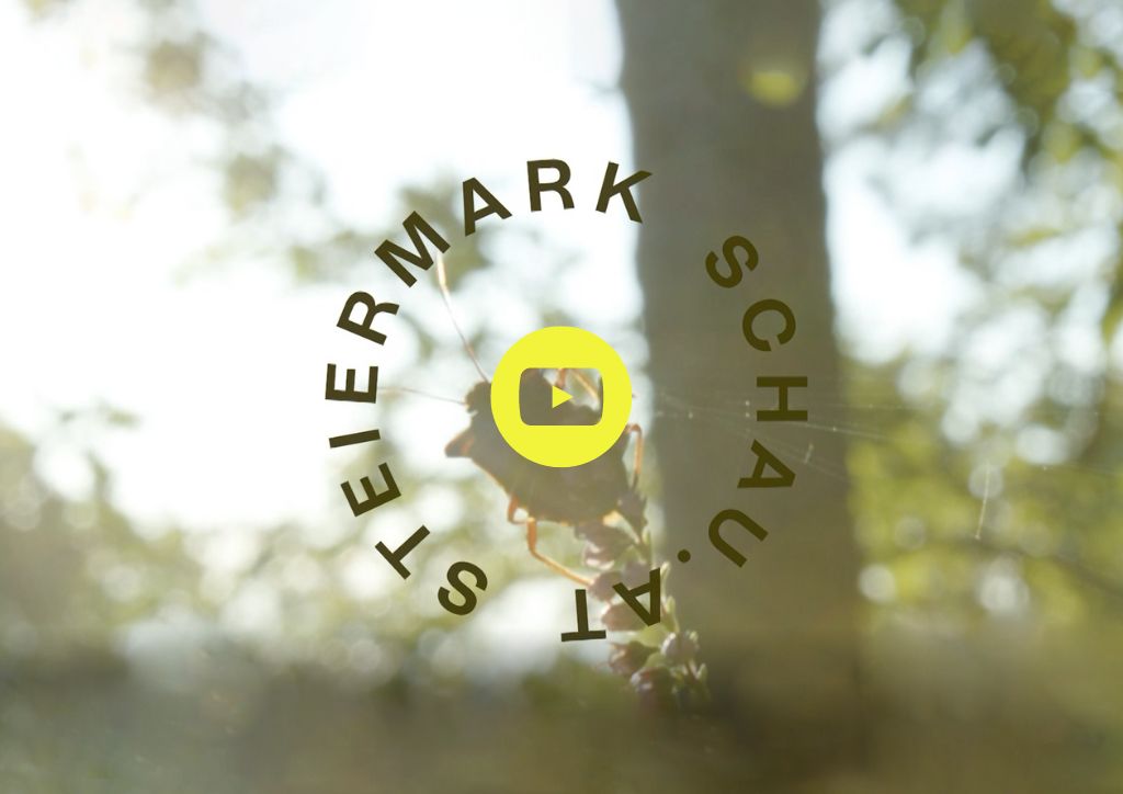 Bild einer Wanze im Walt mit dem Text Steiermark Schau der auf ein Video führt.